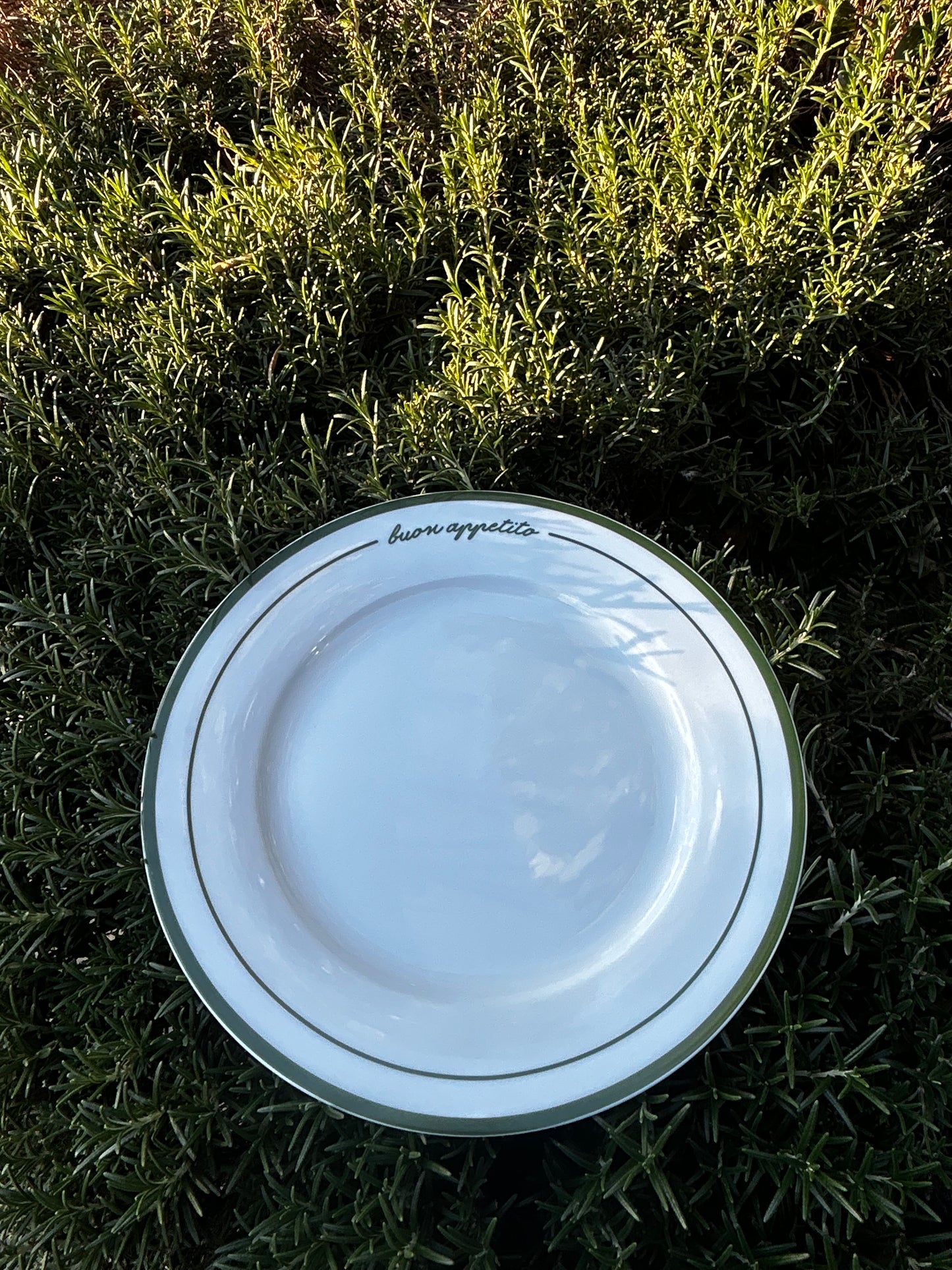 Buon Appetito Ceramic Dinner Plate